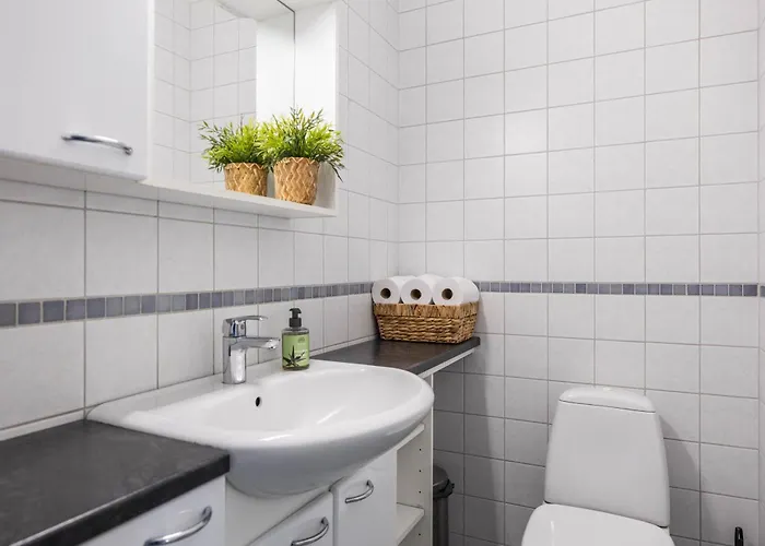 Апартаменты Tuomi *