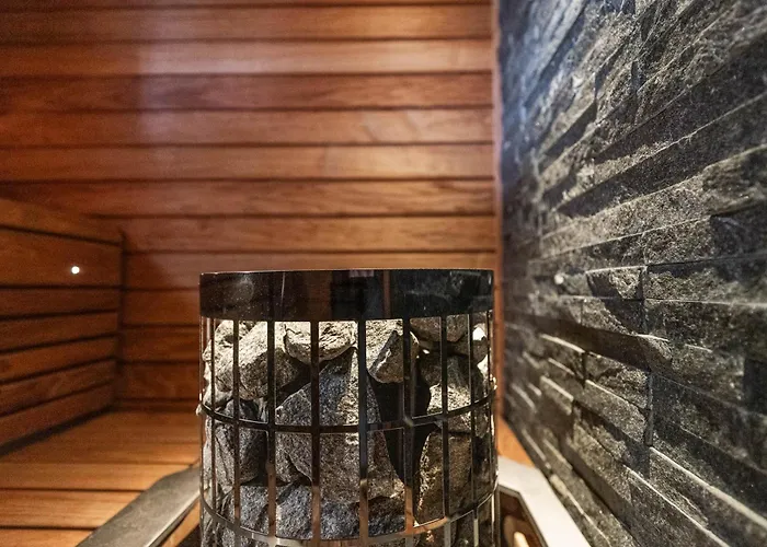 Tuomi Рованиеми